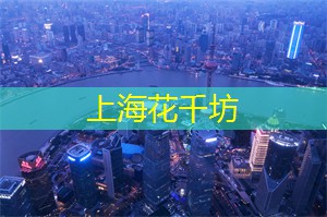 上海新茶工作室：风靡全球！上海新茶工作室传授经典茶拼技法！