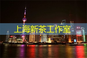 职业生涯与文化交流：上海的话题